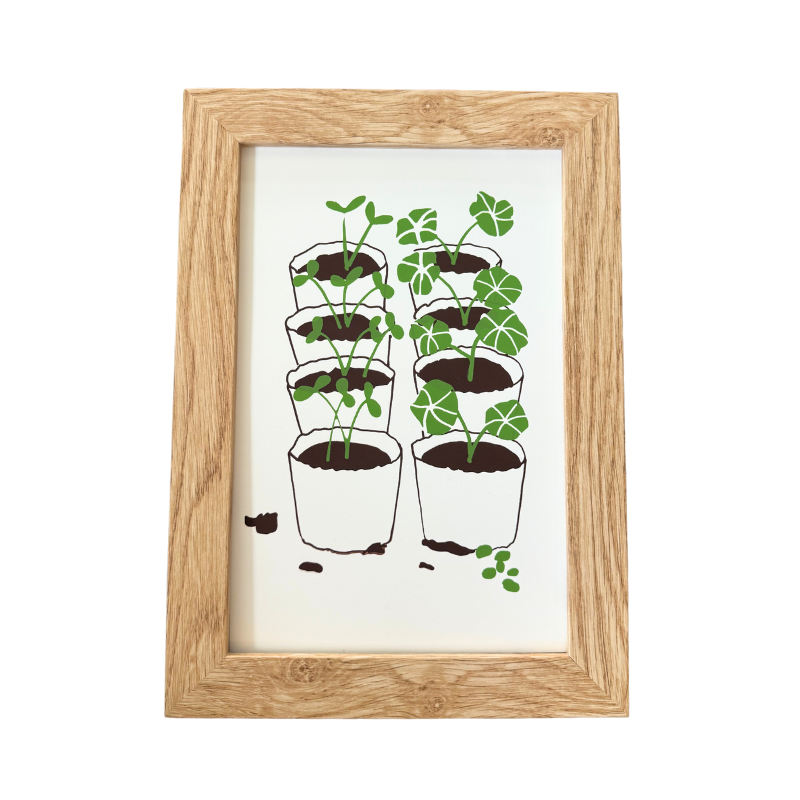 Grow where you are planted (April 2025)