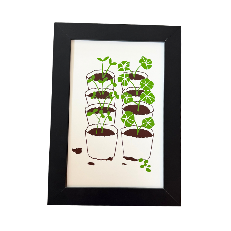 Grow where you are planted (April 2025)