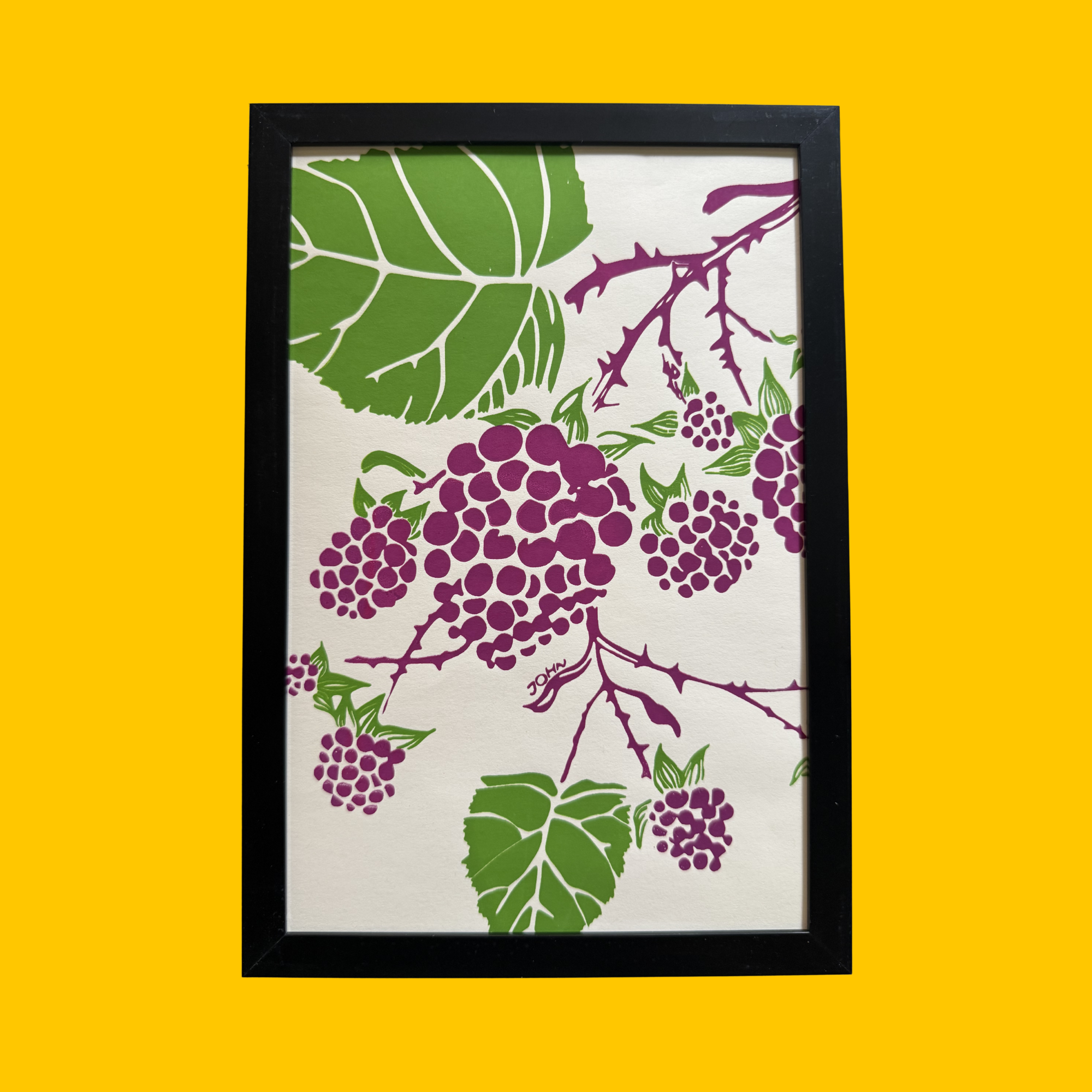 One-of-a-Kind Framed Blackberry Print by John ffrench