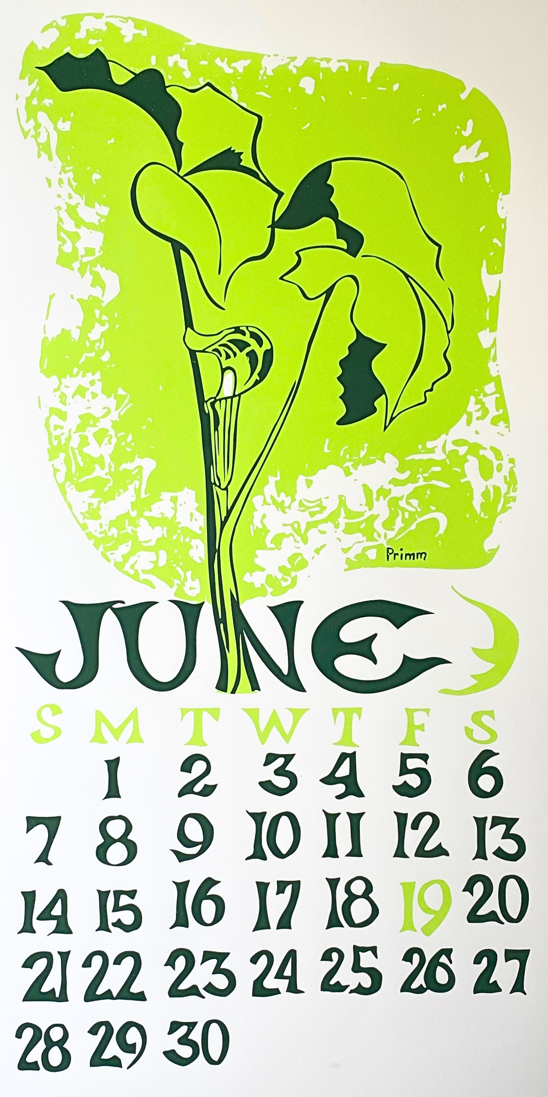 2026 Dolphin Studio Calendar Archive Prints