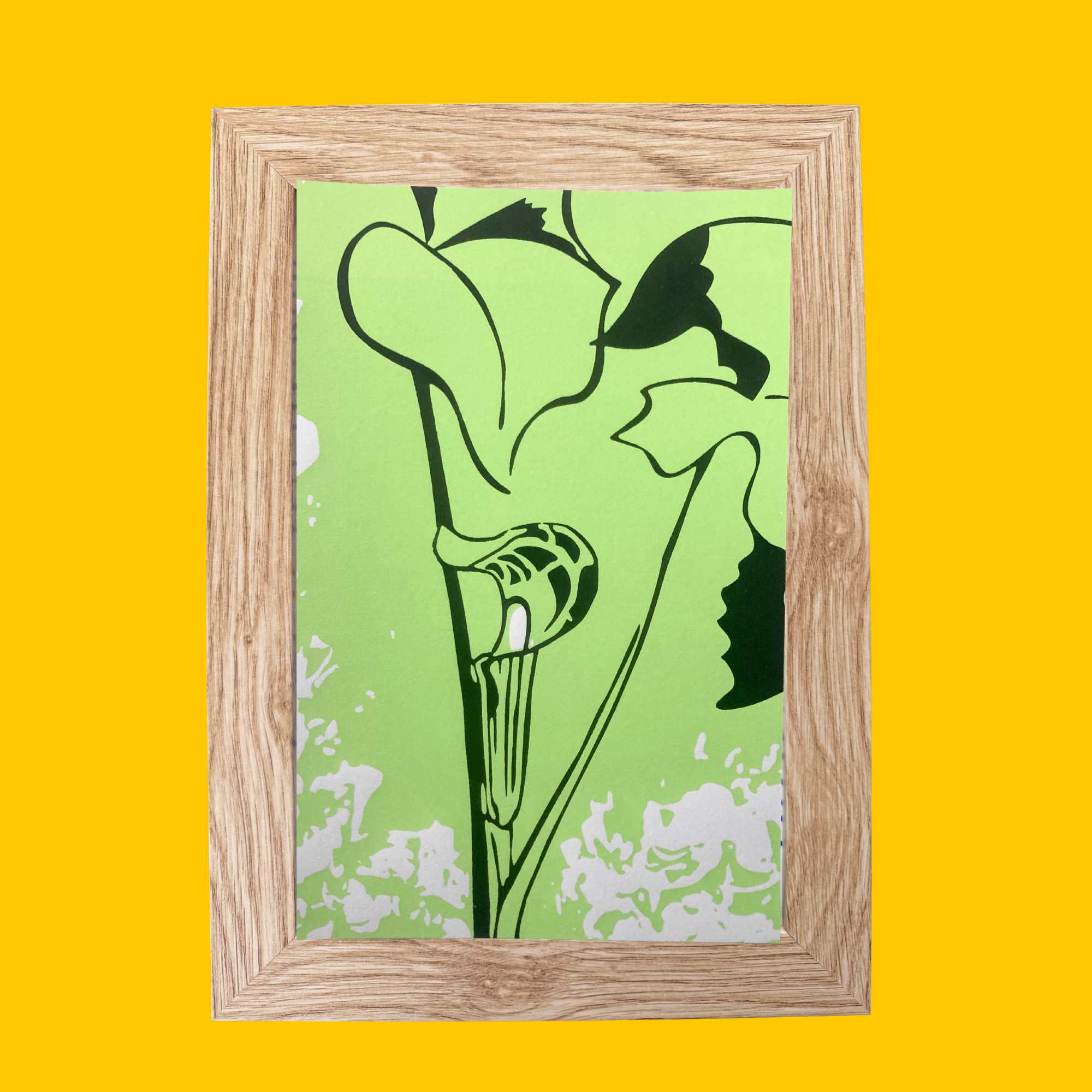 One-of-a-Kind Framed Jack-in-the-pulpit Print