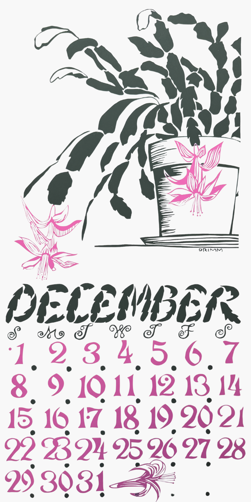 2019 Dolphin Studio Calendar Archive Print
