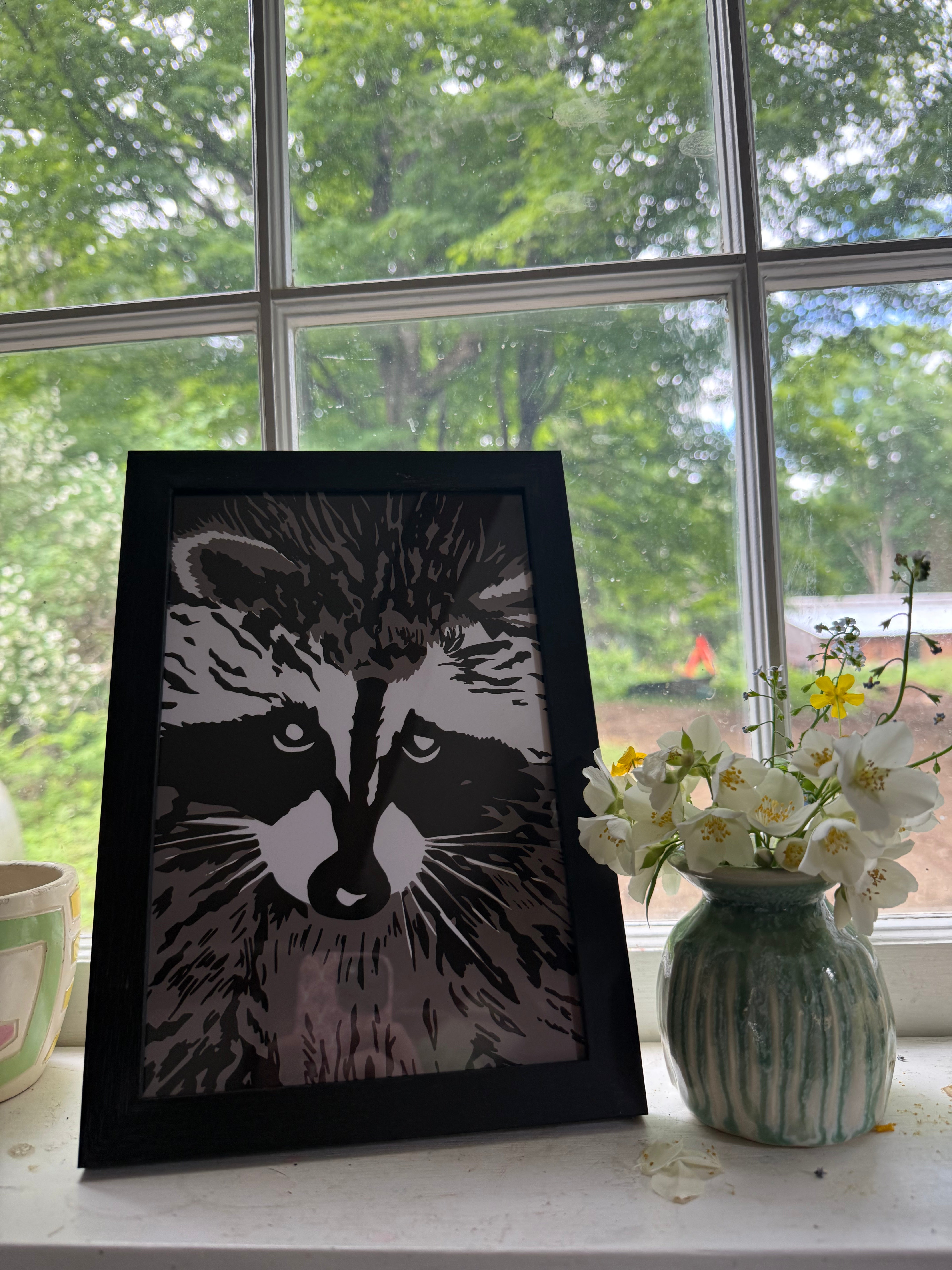 Raccoon - One of a Kind framed Print