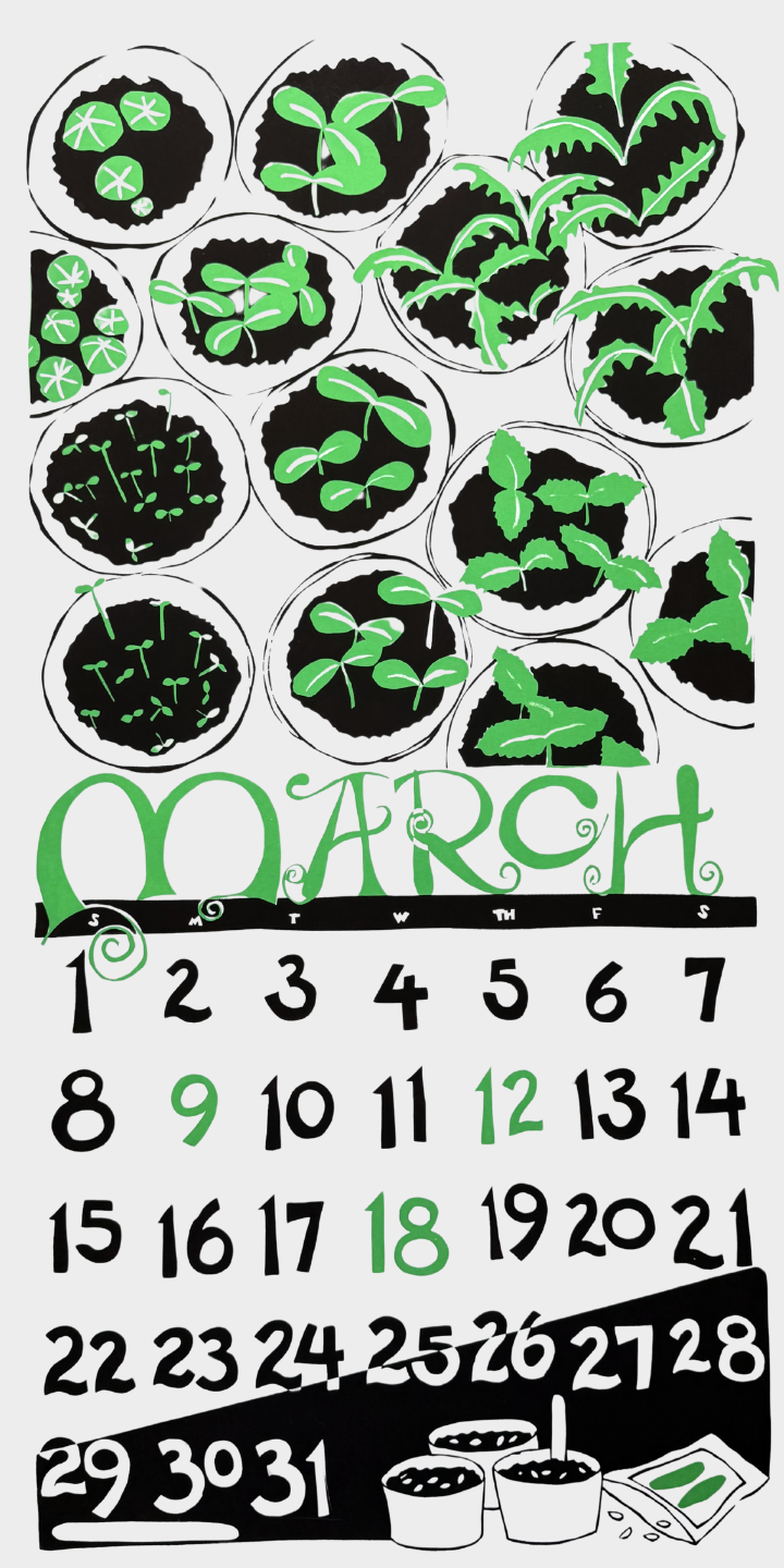 2015 Dolphin Studio Calendar Archive Print