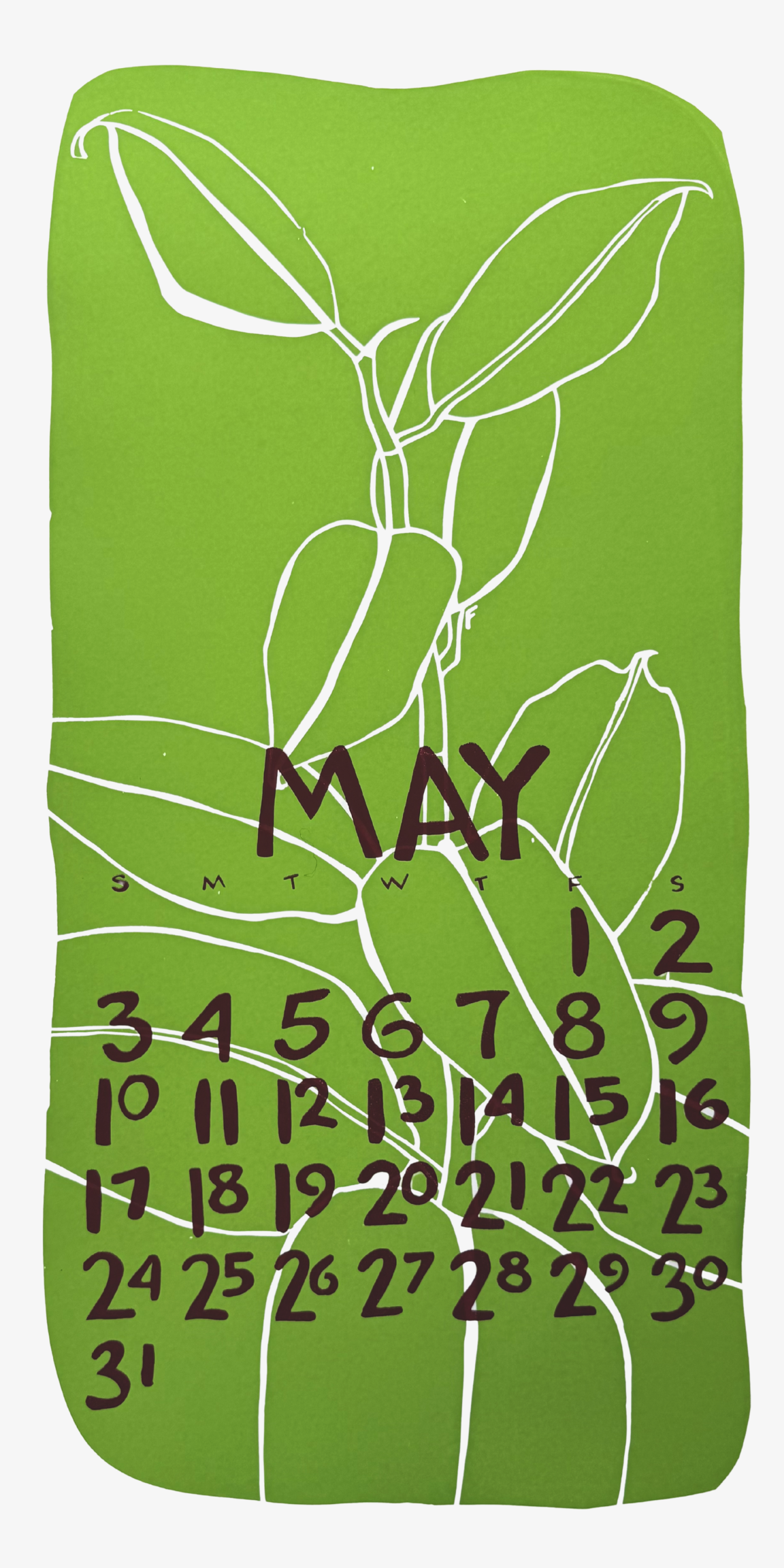 2020 Dolphin Studio Calendar Archive Print