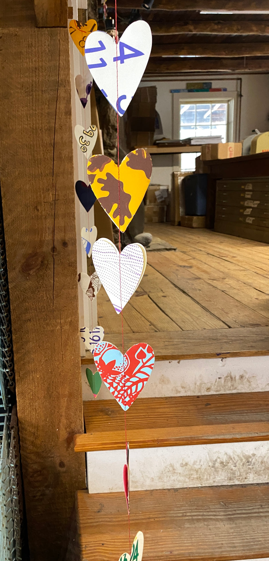 All The Dolphin Studio