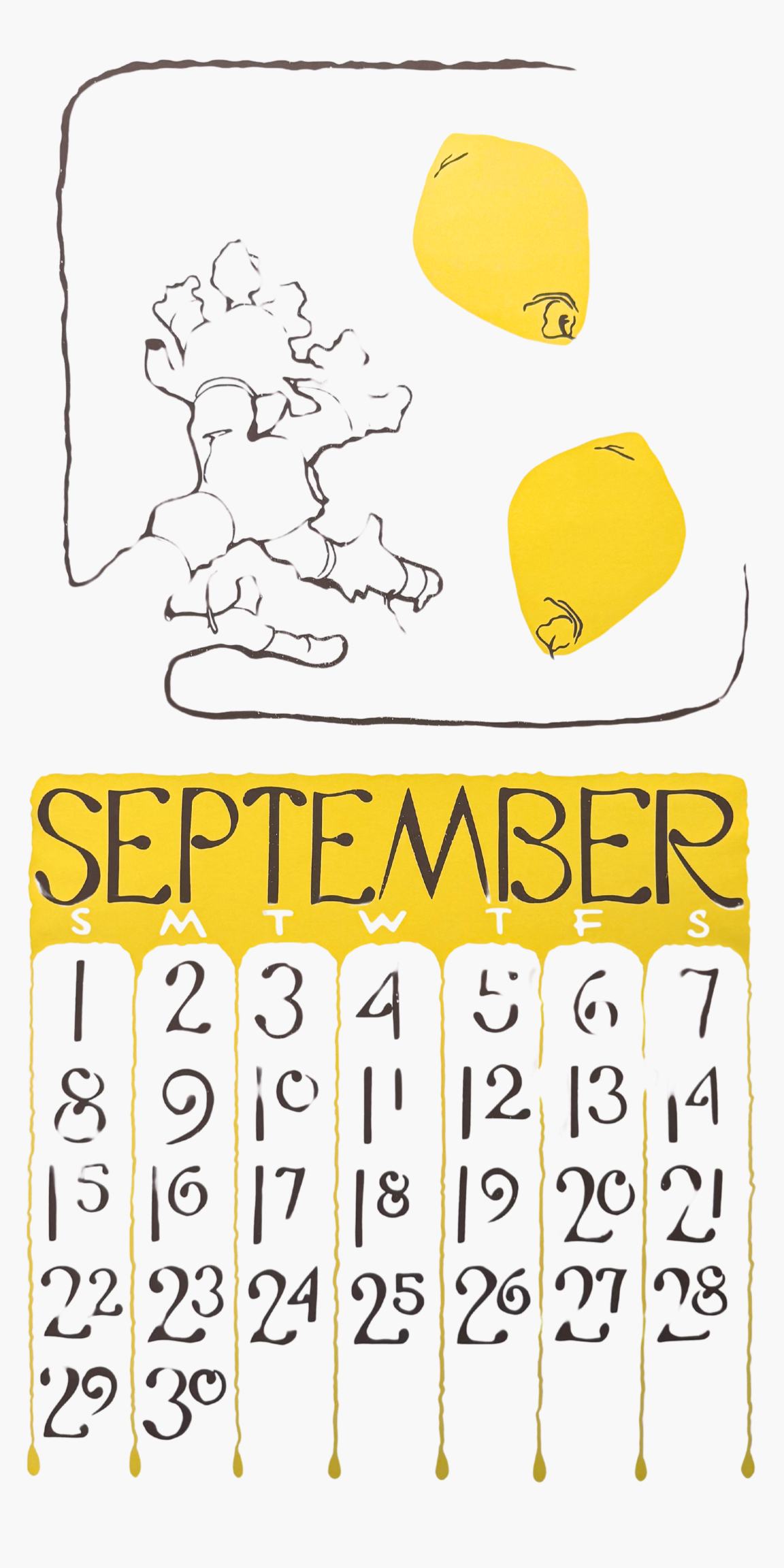 2024 Dolphin Studio Calendar Archive Prints